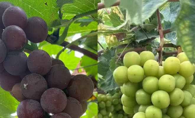 �����ѡ������� ������硱������Ʒ����