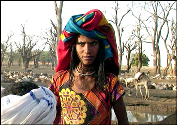 【视频】唯一娶一个女人,一个女人的史诗_各位