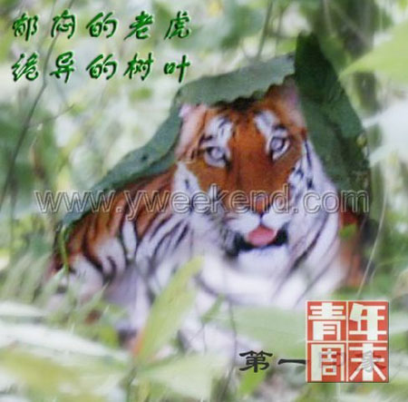 “华南虎之父”黄恭情：争论照片真假没意义