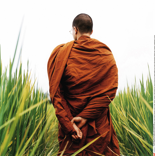 偷得浮生半日闲[组图]