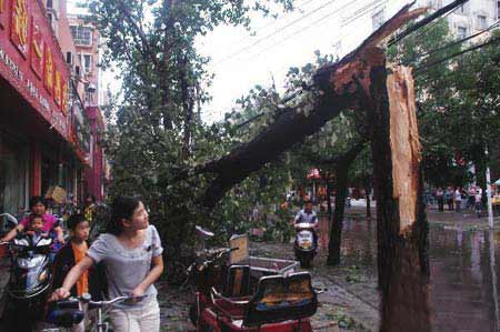 组图：河南周口遭狂风暴雨冰雹袭击