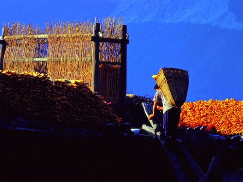 世外桃源般的魅力汶川-羌族,彩林,珙桐,女人,生