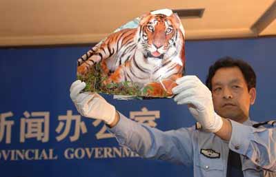周正龙交代拍虎细节：先找虎画再找木匠做虎脚