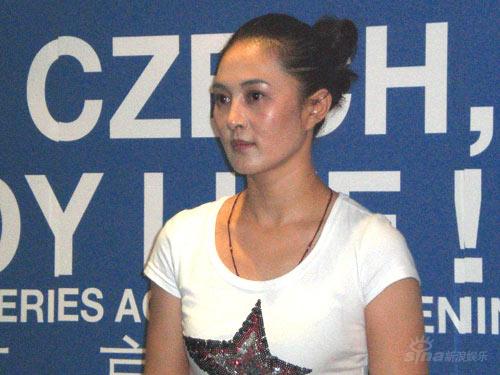 王菁华公主裙亮相捷克旅游节 颁奖最佳着装(图