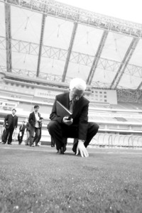 上海:1.8万平米备用草坪应对台风影响