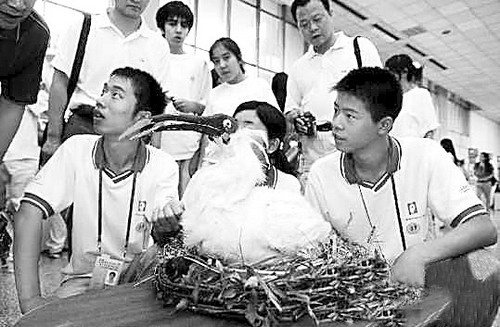 科技大赛:是培养热爱科学还是专注获奖-微生物