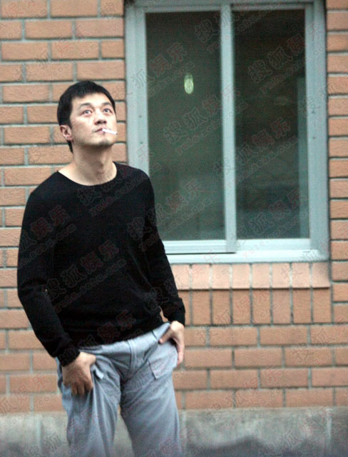 李亚鹏不陪王菲家中养胎 四处奔波养家任拍(图)