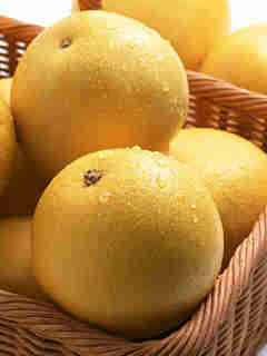 教你新知:橙、柑和橘的区别(图)-健康