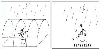 考研英语作文高分范文12篇(图)-考生,考研英语作文,范文,高分,is,短文写作-中国宁波网-教育