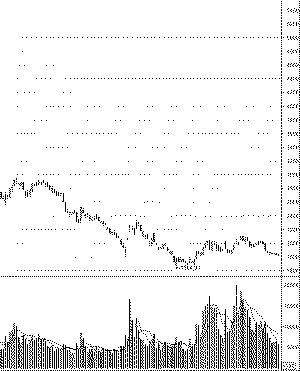 六成股民亏损超70% 2009盼中国股市春天