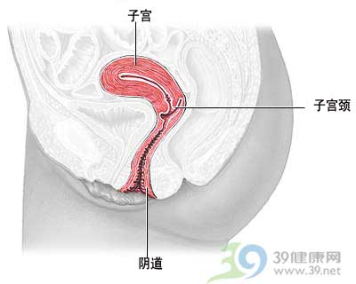 测,TCT,阴道出血,白带异常,细胞学检查,<em>子宫</em>颈