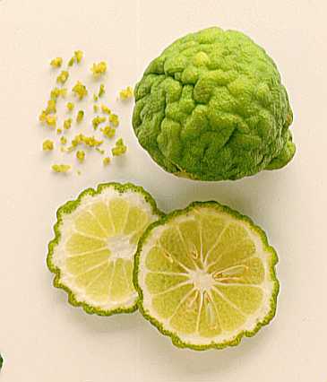 泰式料理食譜，連絡電話0906655350  LINE ID