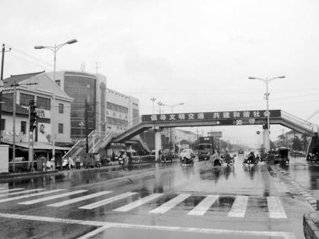 一座天桥引发的争议:有桥为何又画斑马线-斑马