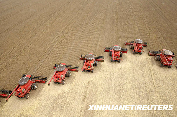 巴西农场的收获季节[组图]-巴西,农场,收割机,大