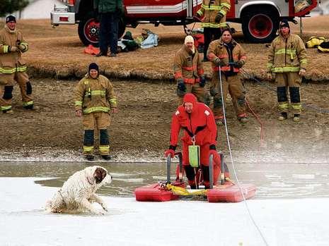 美国消防队员营救尾巴被冻湖面小狗(组图)-公爵