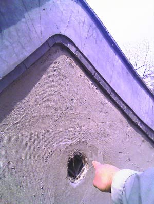 黄大仙夜闹北京胡同 一旦受惊就放臭屁(图)-黄