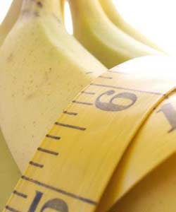 保持胜利成果 几招防止减肥后反弹(组图)-减肥