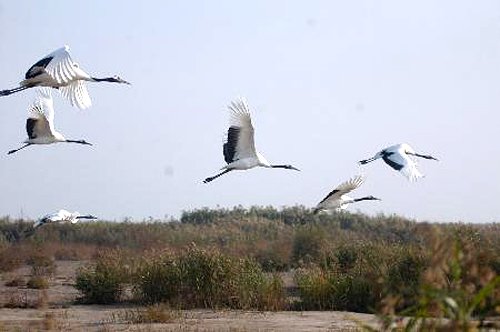上海周边短途三日以上自驾游攻略(图)-上海旅游