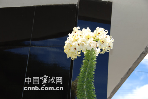 奉化市多少人口_浙江奉化市白杜周吉波(3)