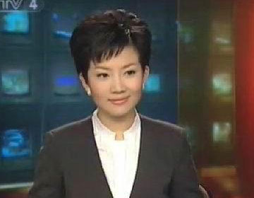 央视四套的<em>美女主持人</em>(图)