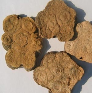 中药美肤DIY 安全效果好(组图)-泽兰,白芨粉,药