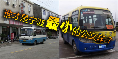 网友热评:谁是宁波公交车之“最”