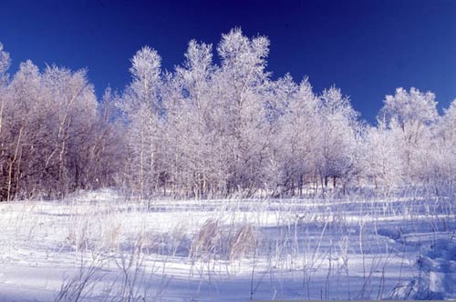 中国最为著名的外景拍摄地(组图)-拍摄电影,阿