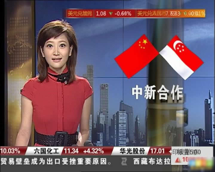 央视新美女主播:神似应采儿(组图)