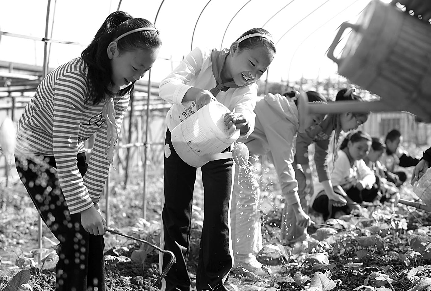 走出教室，体验“春种秋收”的劳动乐趣 - 教育要闻 - 潍坊新闻网
