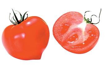 健康又减肥的西红柿晚餐[图]-西红柿,营养餐,养