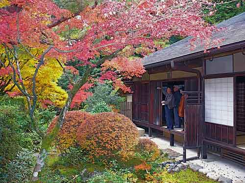 寻找金秋最有味道的四个旅行目的地-金刚山,开