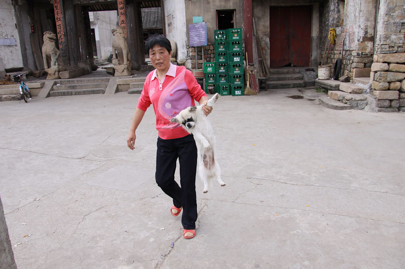 咱们农村里是这样洗狗狗的