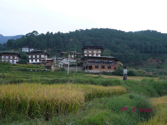 不丹国旗_不丹人均收入(3)