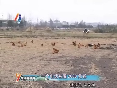 һ���绰ƭȥ�����2000ԪǮ