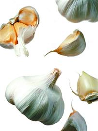 研究称常吃大蒜人群患胃癌风险几率可降低60