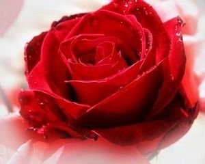 <em>女人</em>婚后容易出现的<em>生理问题</em>(组图)-男人要,性