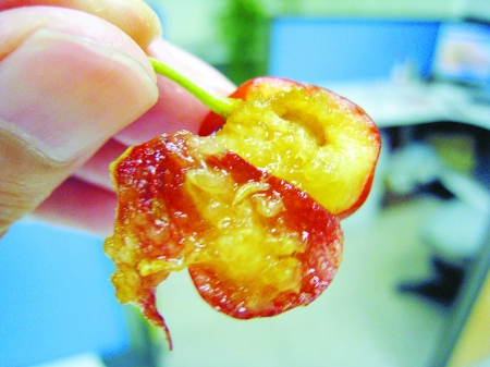 樱桃中吃出蛆状白虫 专家称对人体无害(图)-樱