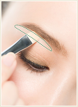 快速打造 自然派精致粗眉[组图]-眉毛部位,自然