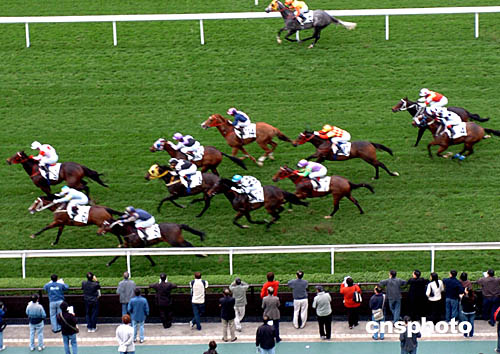 去香港感受奢华赌马文化-马文化,卡瓦伊,看台,