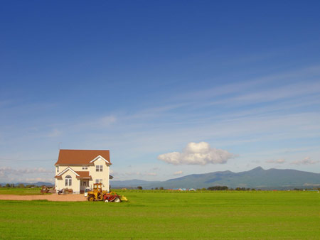 出境赏花胜地 找寻属于幸福的花语(组图)-熏衣