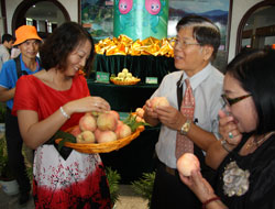 奉化有多少人口gdp多少_奉化地图(2)