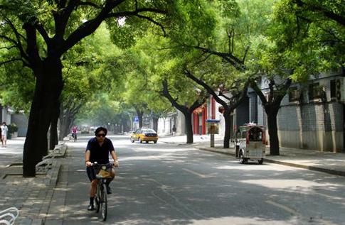 文化大革命以后和南池子大街一起被叫作了葵