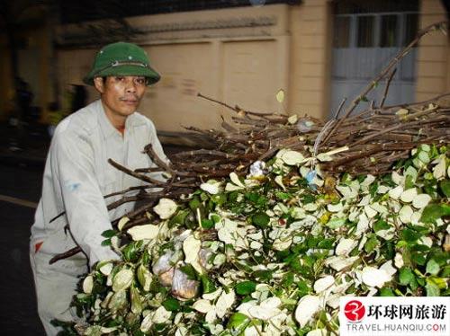 争做爱国英雄 越南男人喜欢戴绿帽子(组图)-男