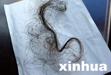 �й�ר��������������ũ�ܡ�Ұ�ˡ���ѧ����