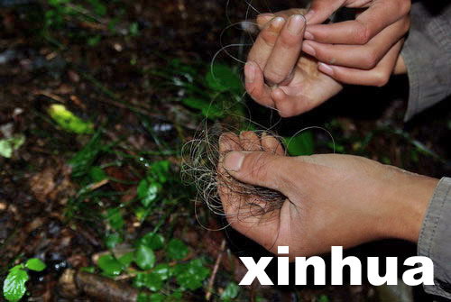 �й�ר��������������ũ�ܡ�Ұ�ˡ���ѧ����