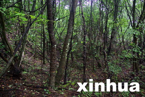 �й�ר��������������ũ�ܡ�Ұ�ˡ���ѧ����