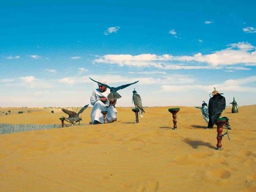 世界顶级城市迪拜 沙漠中的梦幻城堡(组图)-迪