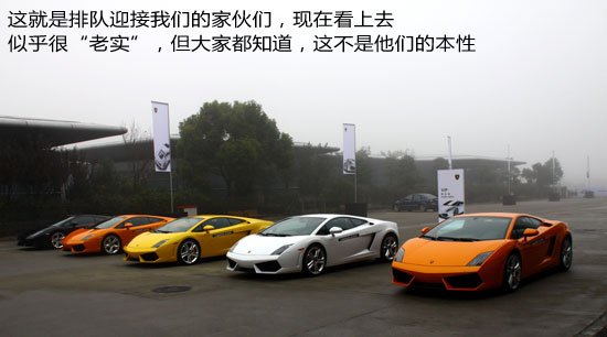 蛮牛来袭 感受兰博基尼驾驶培训上海站-兰博