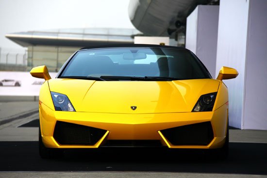 蛮牛来袭 感受兰博基尼驾驶培训上海站-兰博