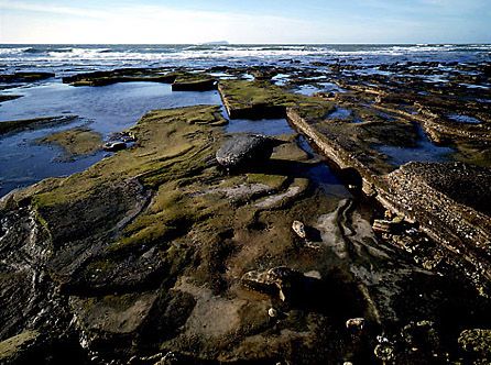 海天寻梦:冬季广西北海自助游攻略(组图)-南珠